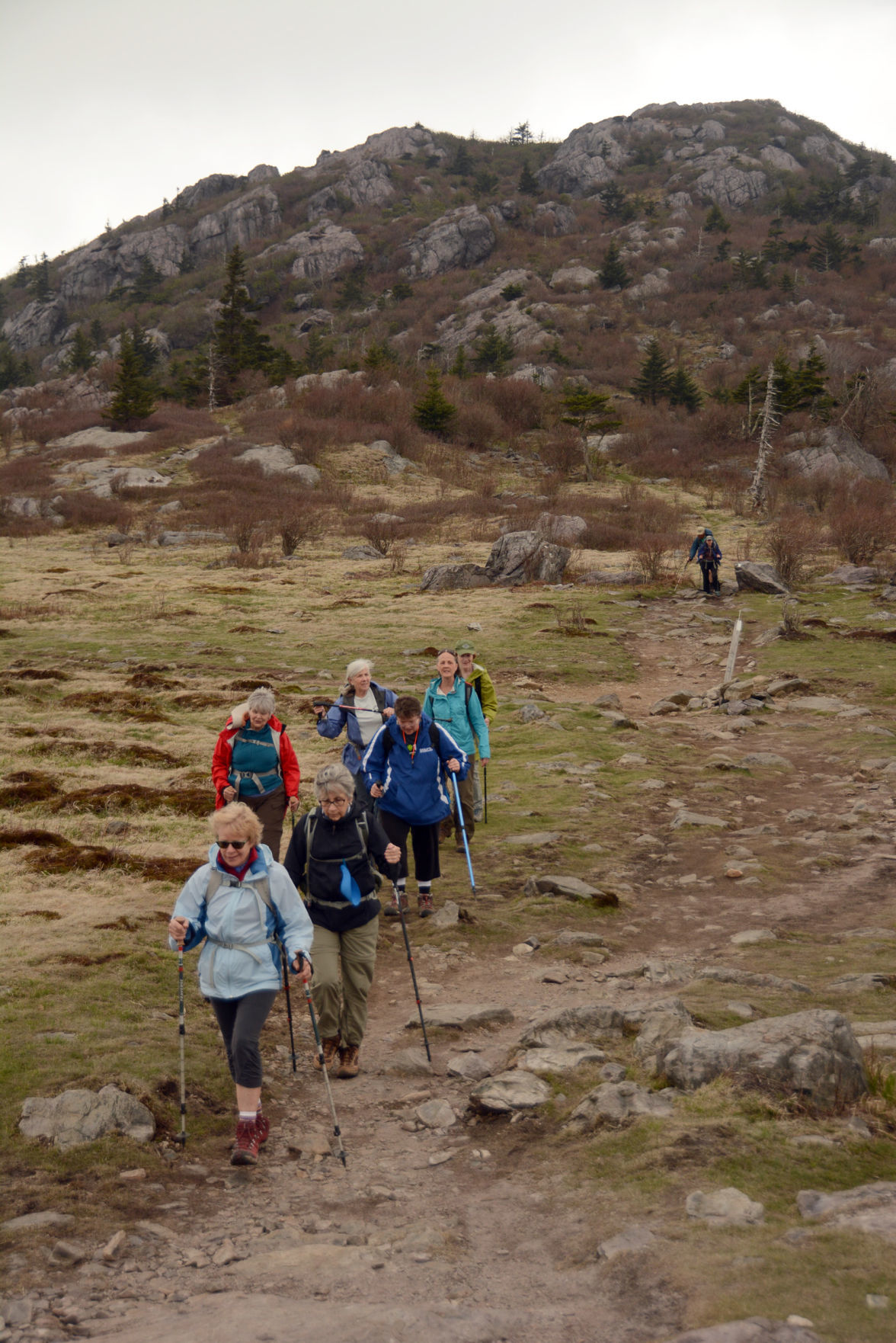 Mount Rogers National Recreation Area